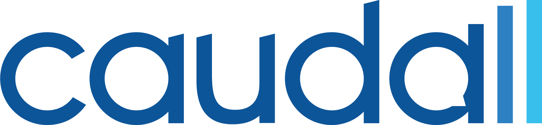 Caudall-Logo
